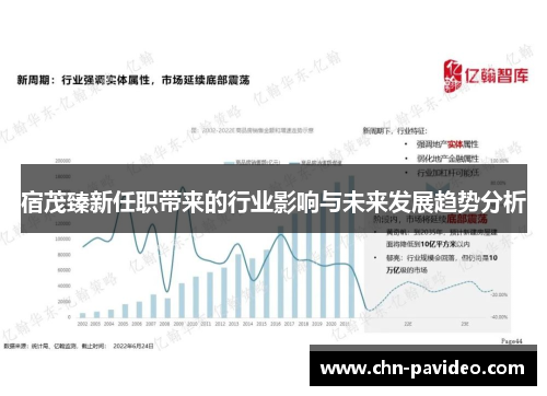 宿茂臻新任职带来的行业影响与未来发展趋势分析
