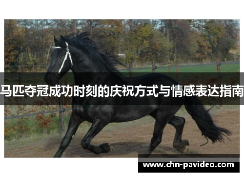 马匹夺冠成功时刻的庆祝方式与情感表达指南