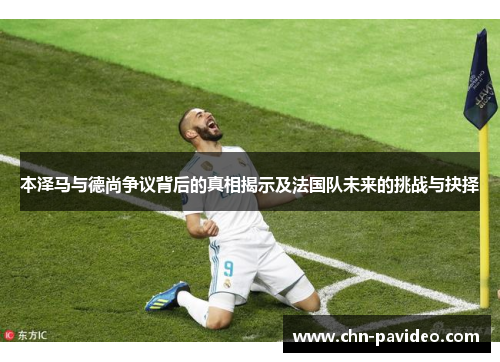 本泽马与德尚争议背后的真相揭示及法国队未来的挑战与抉择