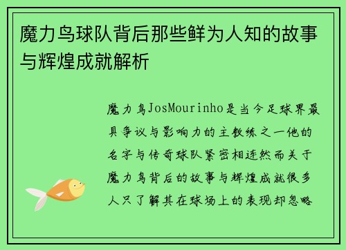 魔力鸟球队背后那些鲜为人知的故事与辉煌成就解析