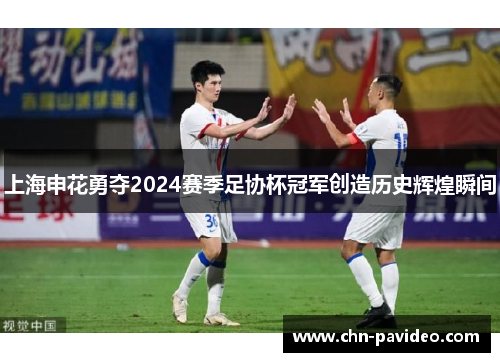 上海申花勇夺2024赛季足协杯冠军创造历史辉煌瞬间